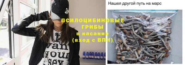 прущая мука Верея