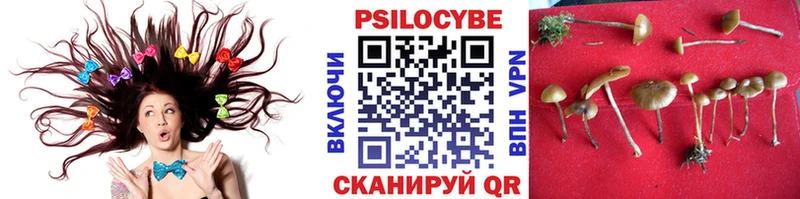 Псилоцибиновые грибы Magic Shrooms  купить наркоту  Королёв 